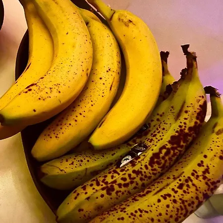 Hotel Self Check-in Mauguio