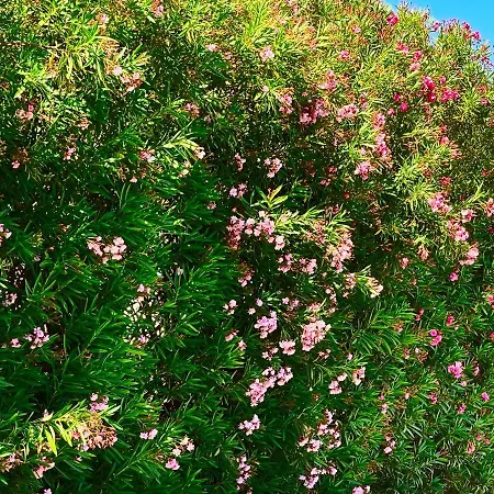 Self Check-in Hotel 2*