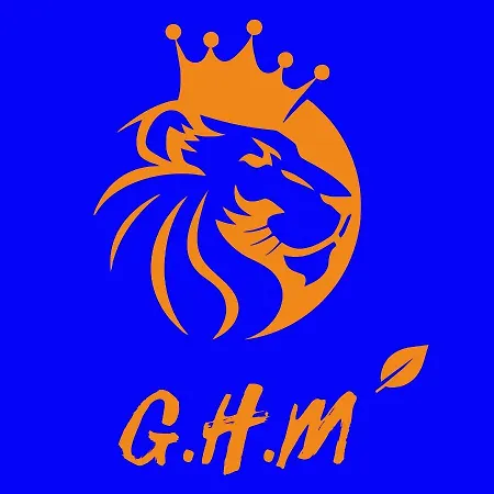 Ghm New Airport Mauguio